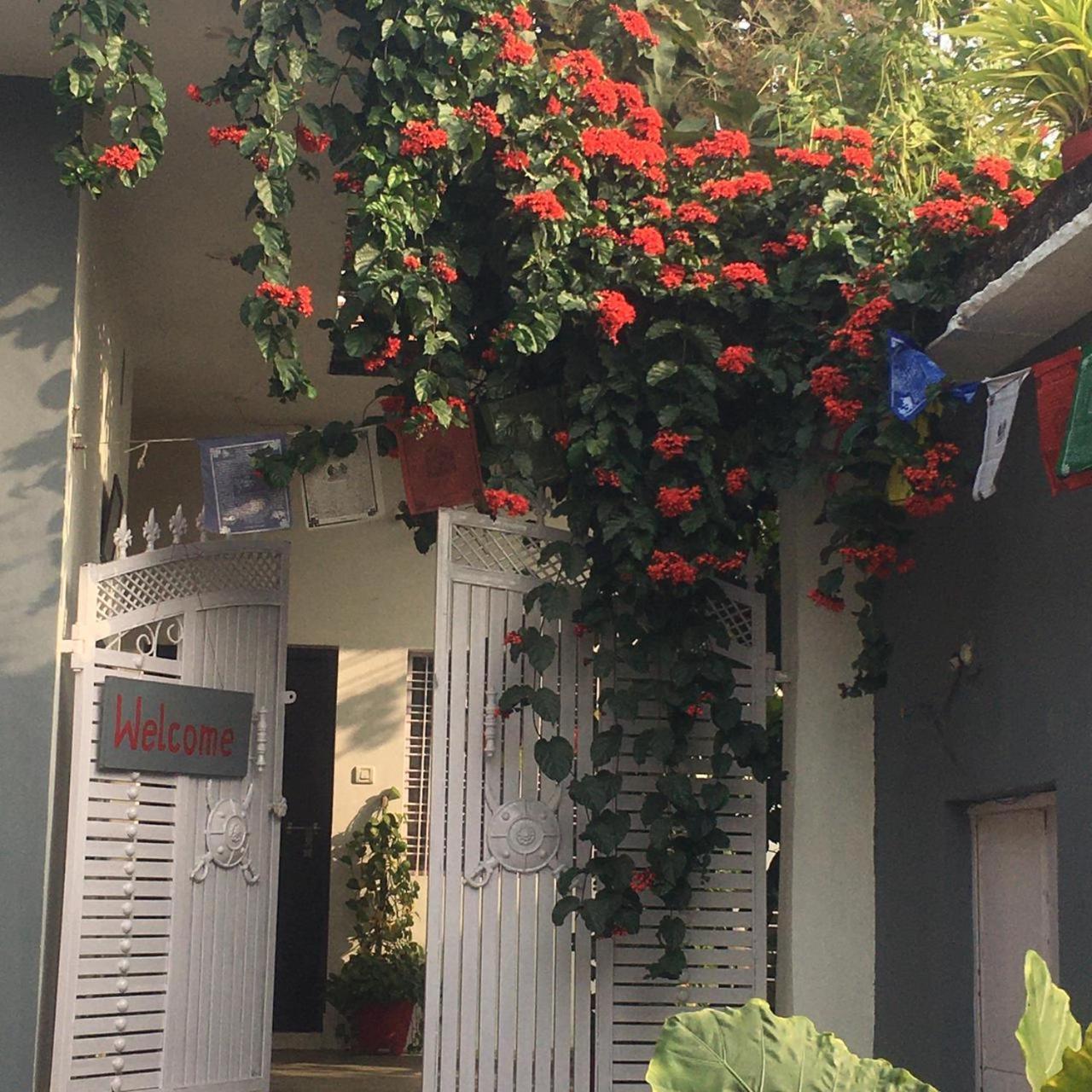 The Highvill Home Stay Khajurāho Exteriér fotografie