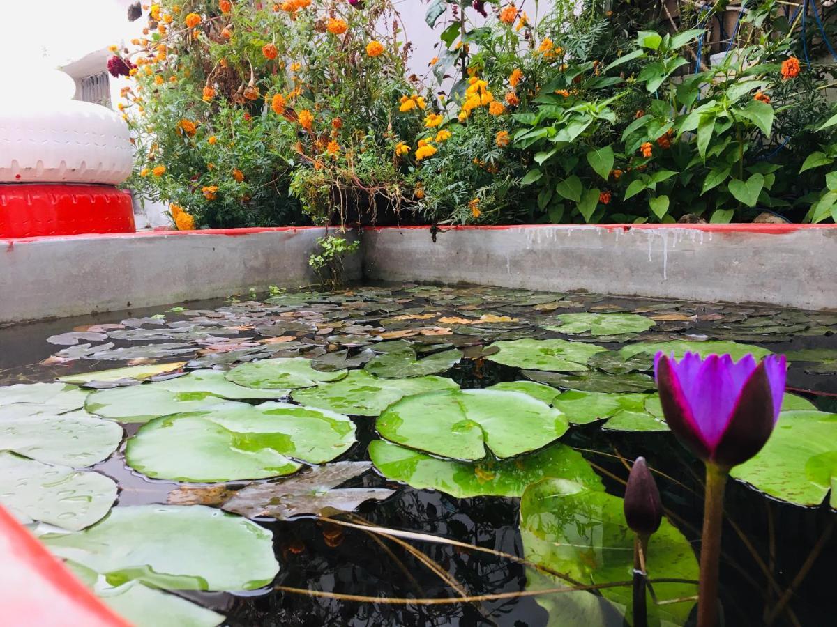 The Highvill Home Stay Khajurāho Exteriér fotografie